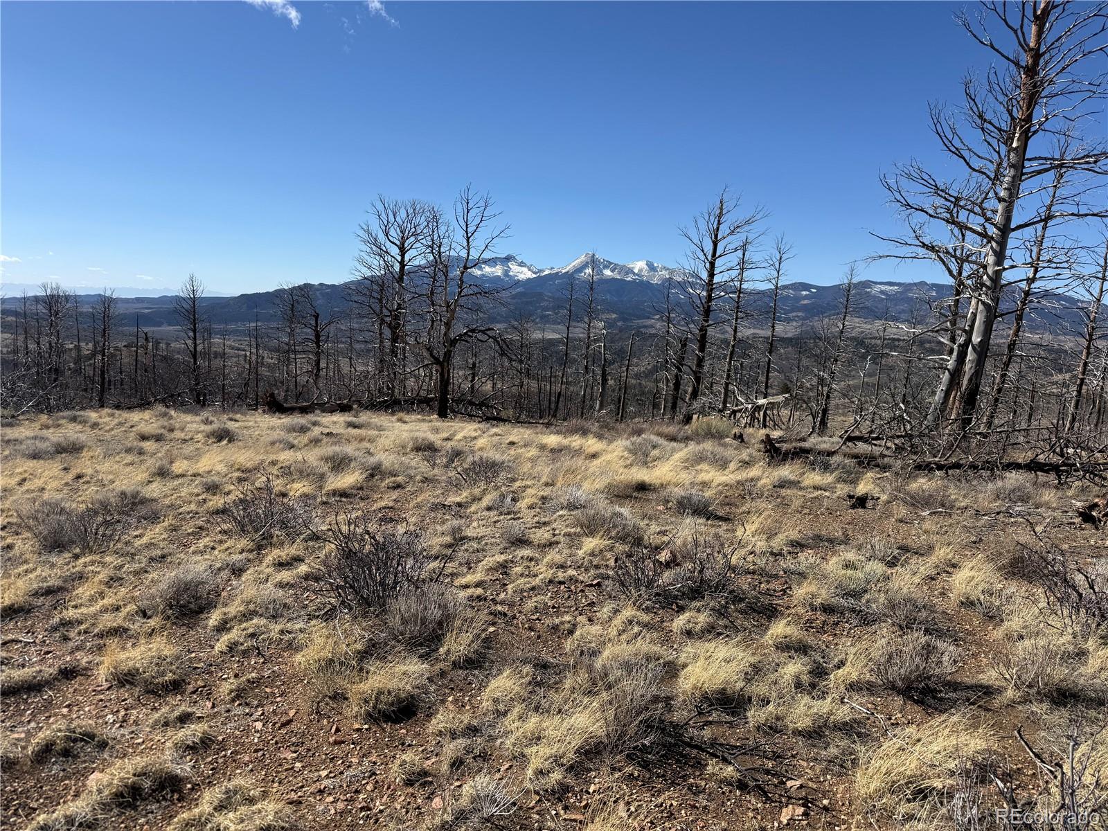 Lot 385 Soubry Place
