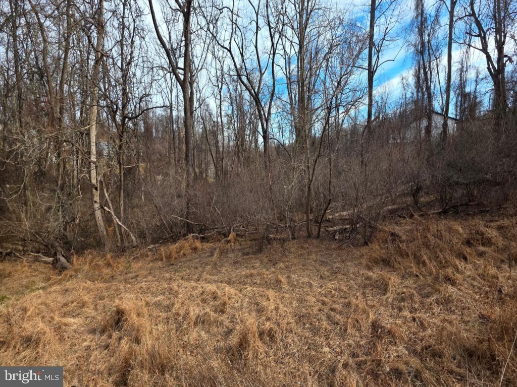4 Apple Trail