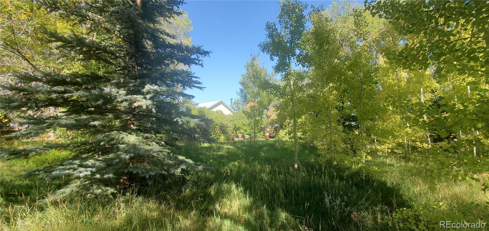 8611 County Road 11