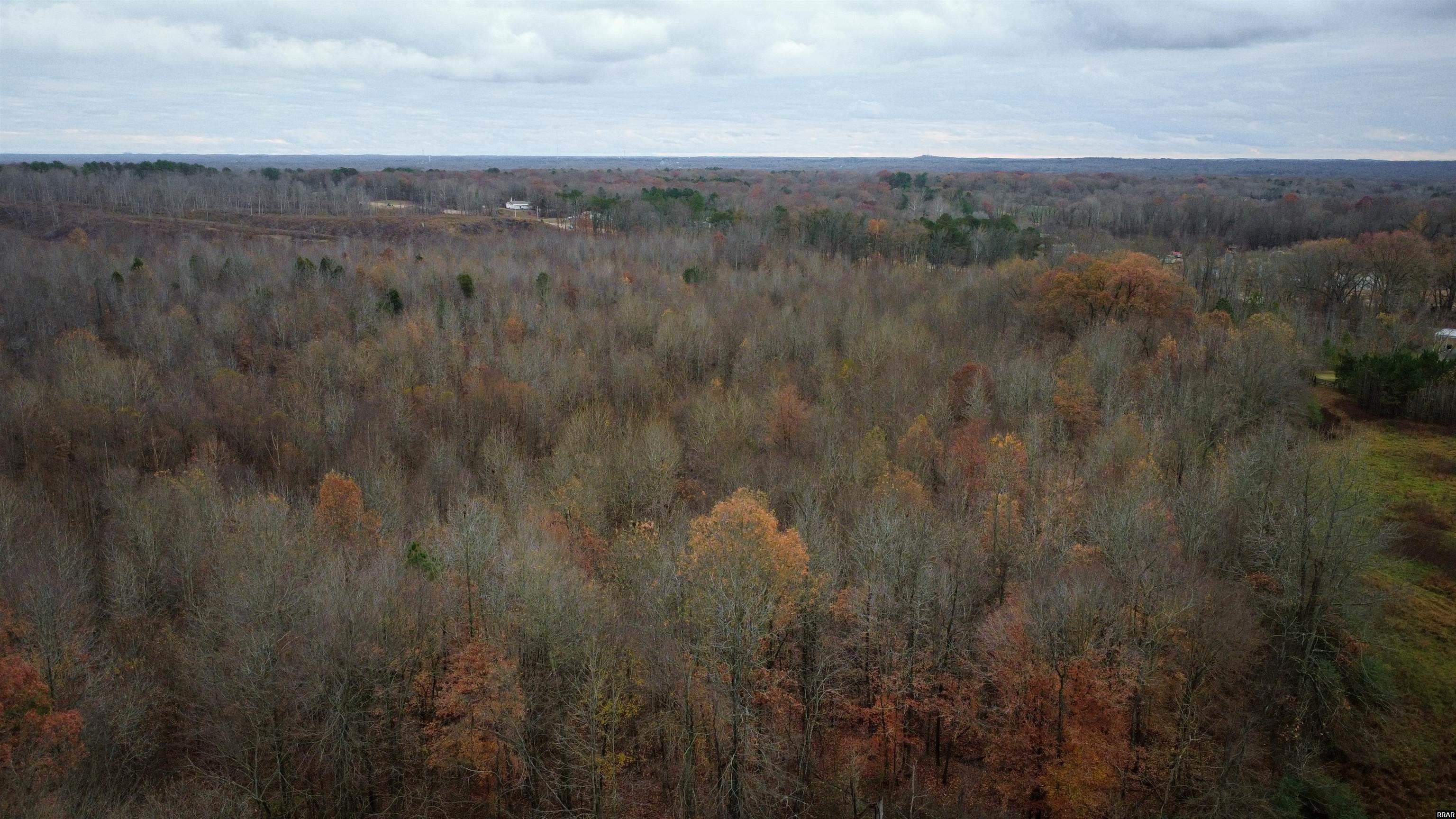 000 Evergreen Street 907 Hwy 22