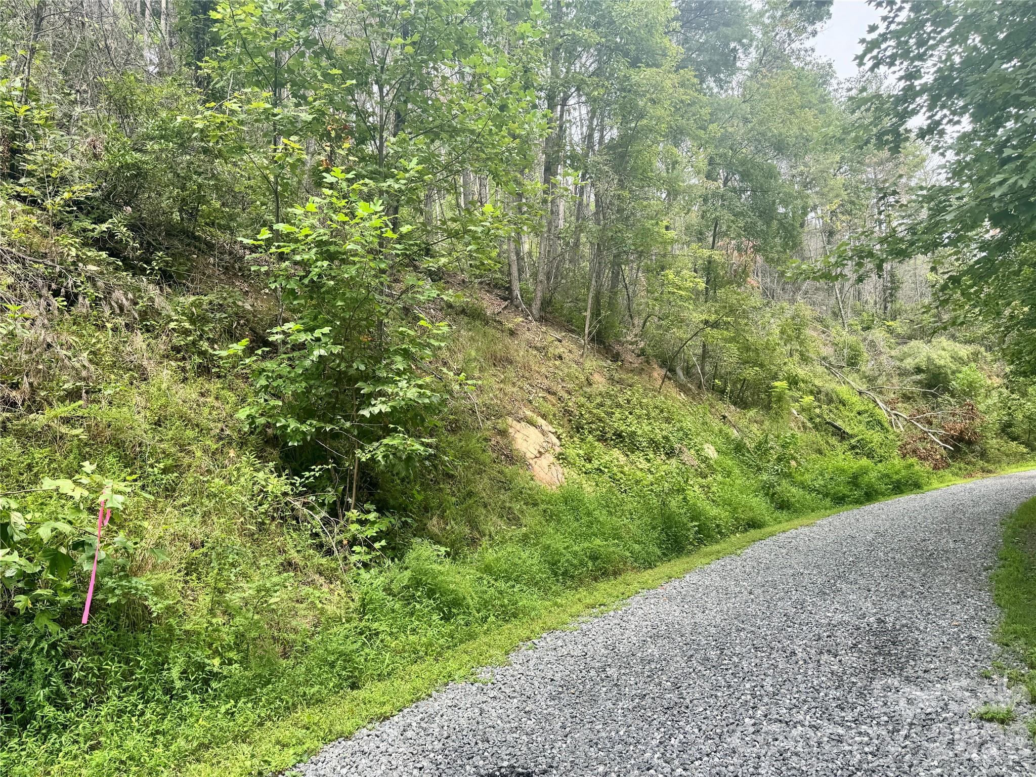 1.46 acres, Lot 48 Tomahawk Ridge Drive Lot 48