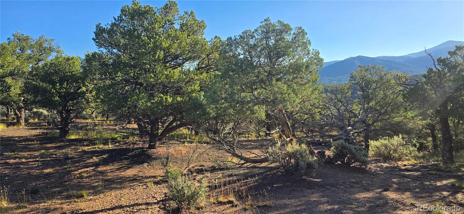 Lot 7381 Platten Road