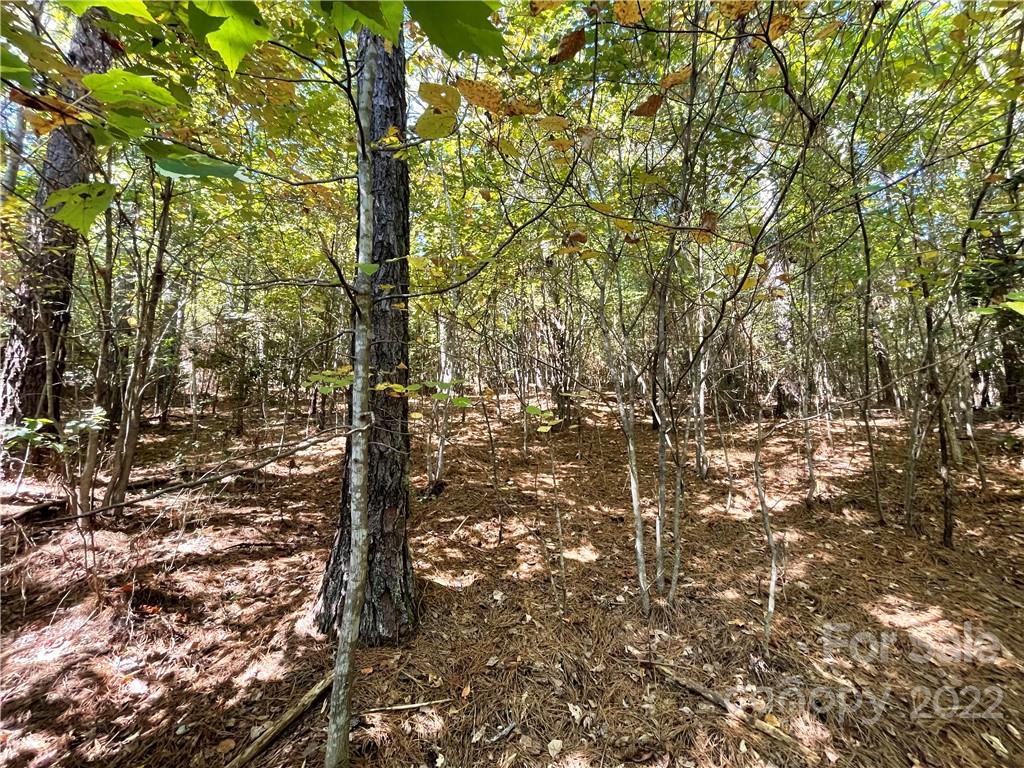 Land for sale in Granite Falls Lot for Sale 5498 Bridgewater Drive NC