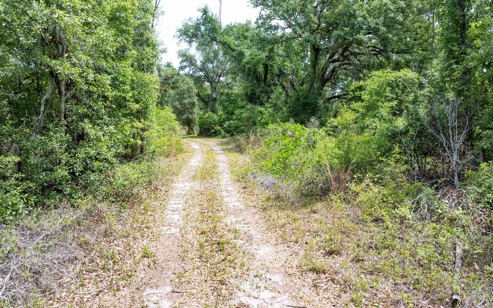 1285 SE Koon Lake Rd