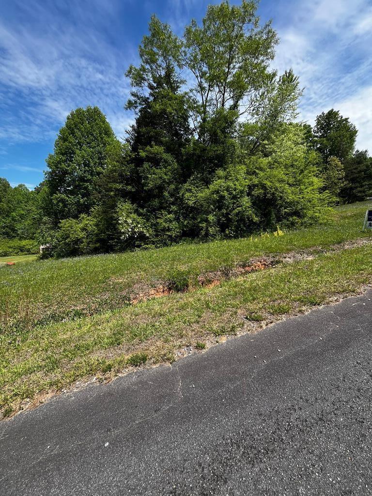 Ready-to-Build Land with Public Water Access! Three prime lots totaling 0.80 +/- acre offer a fantastic opportunity for development or investment. The availability of public water significantly streamlines the building process. The location is unbeatable: highly convenient to stores, just a quick drive to the amenities in Mount Airy, and close to the renowned Blue Ridge Parkway. With pond access adding value, these lots are priced to sell. More available in the area—don't delay!