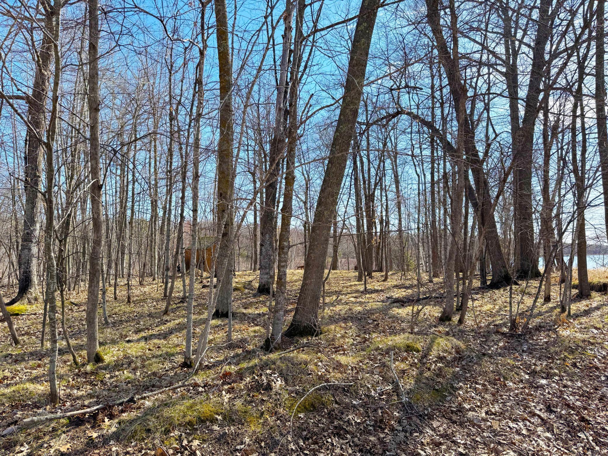 27XXX Greenwood Isle Circle