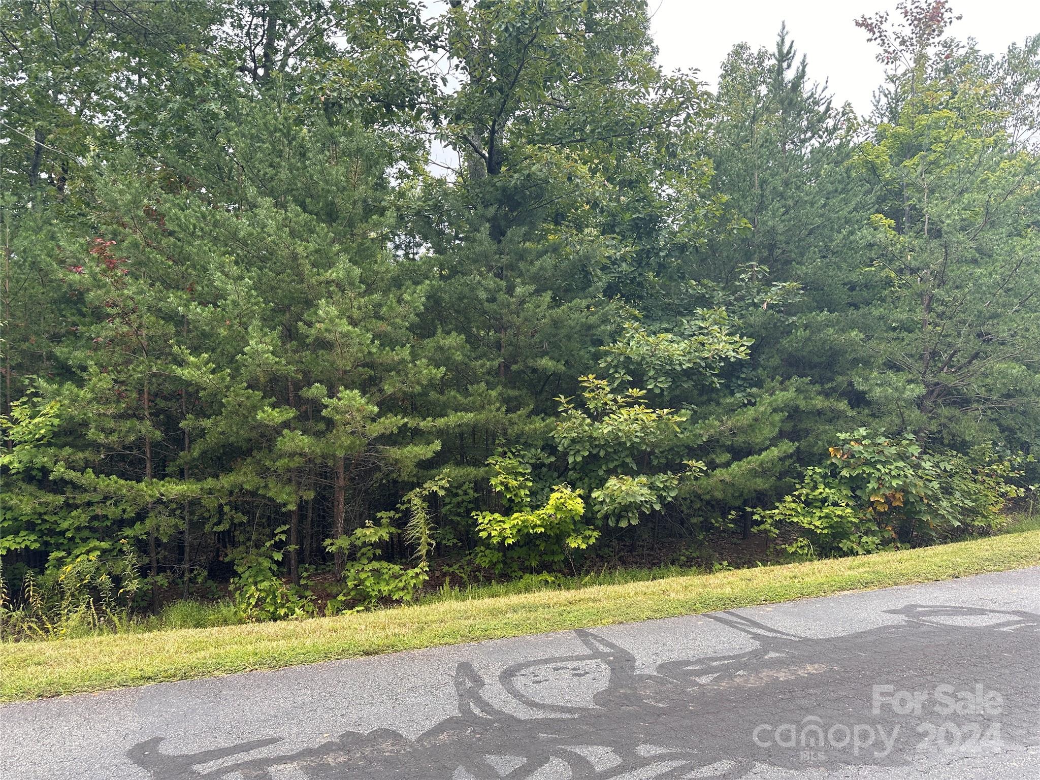 333 Mossy Oak Trail 164