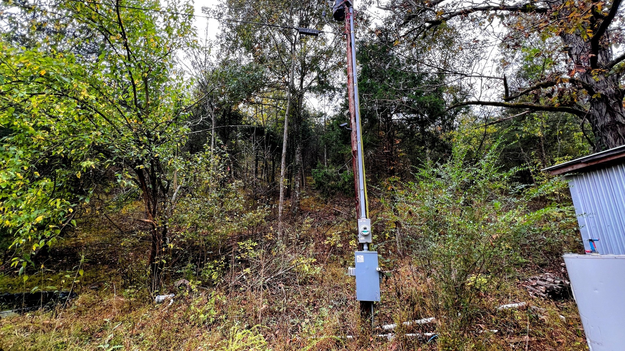 441 Pumpkin Hollow Rd