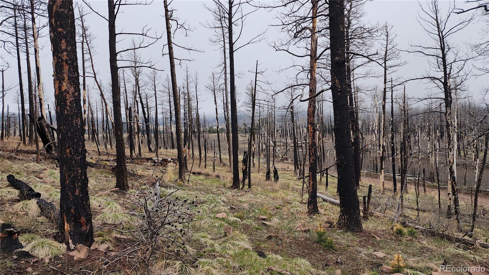 Lot 1735 Mara Loop