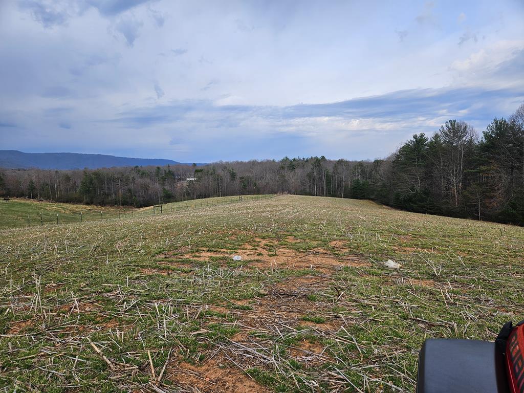 Vacant Land no appointment necessary. Take a color copy of the aerial topo map with you so you know what you are looking at. Use 1827 Willis Gap Road a GIG store j across the road. Prices on Highest & Best Use. Potential subdivision with road frontage two sides.