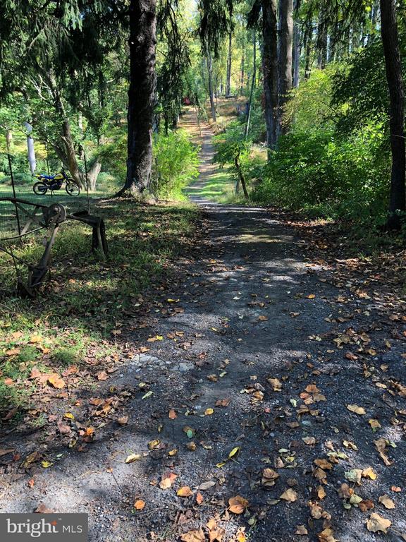 Large brick colonial overlooking pool and large pond & waterfall.  House can support two family dwellings.  Lovely historic barn and other outbuildings.
