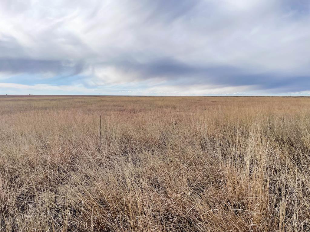 Two Buttes Real Estate for Sale NA County Rd 26 Two Buttes Colorado