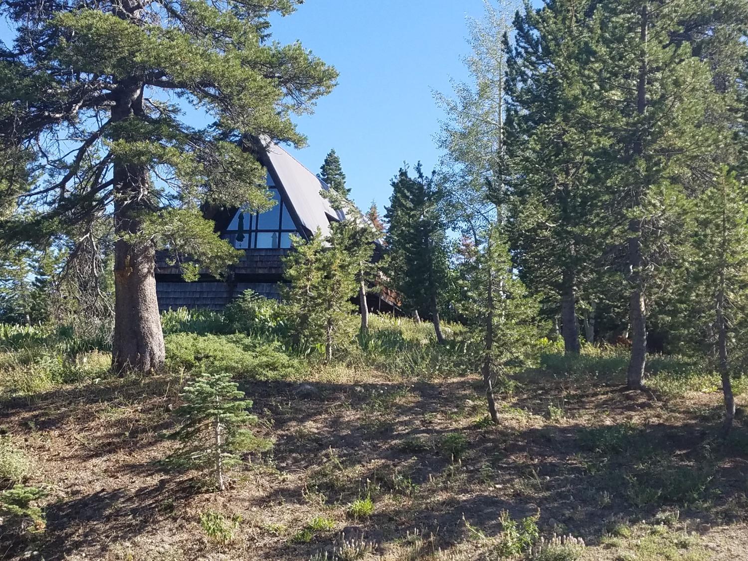 735 Bloods Ridge Road