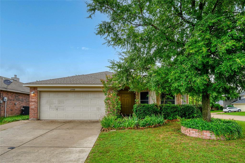 2900 Bluffs Court