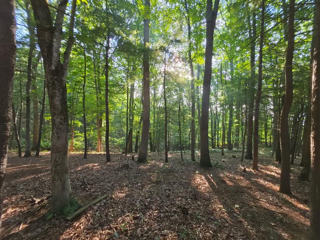 Discover the perfect place to build your dream home in the peaceful setting of Shady Forest Estates. This offering includes four wooded lots estimated at 1.5 acres, providing privacy, mature trees, and a gently sloping landscape ideal for a custom home.  Located on a paved, state-maintained road with public water, electricity at the road, and gigabit fiber internet available through Citizens Telephone Cooperative, this property is ready for your vision. A survey is available, making it even easier to begin planning your future home.  Protective covenants help preserve the neighborhood's appeal with a minimum 1,200 square foot home requirement and no manufactured homes permitted, creating an attractive setting for homeowners.  Convenience is one of this property's greatest advantages. Located just 1 mile from I-81, 4 miles from I-77, and only 13 miles from Wytheville, you'll enjoy quick access to shopping, dining, healthcare, and employment while still coming home to a quiet, wooded retreat.  Outdoor recreation is just minutes away. Spend your weekends kayaking, fishing, hiking, or biking at the New River and New River Trail State Park, both within 20 minutes. Explore the scenic beauty of the Jefferson National Forest or enjoy boating and fishing at Claytor Lake, all just a short drive away. The property is also conveniently located 30 minutes from Radford University and 40 minutes from Virginia Tech.  Whether you're ready to build now or looking for an investment in one of Southwest Virginia's most convenient locations, this unique combination of four lots offers the perfect blend of privacy, natural beauty, modern utilities, and outstanding accessibility.