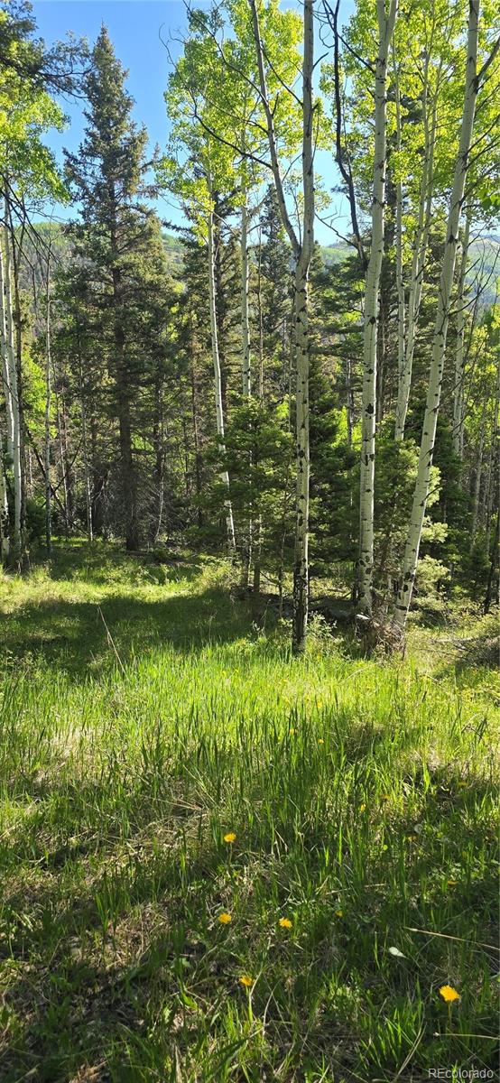 Lot 6385 Jaquez Road
