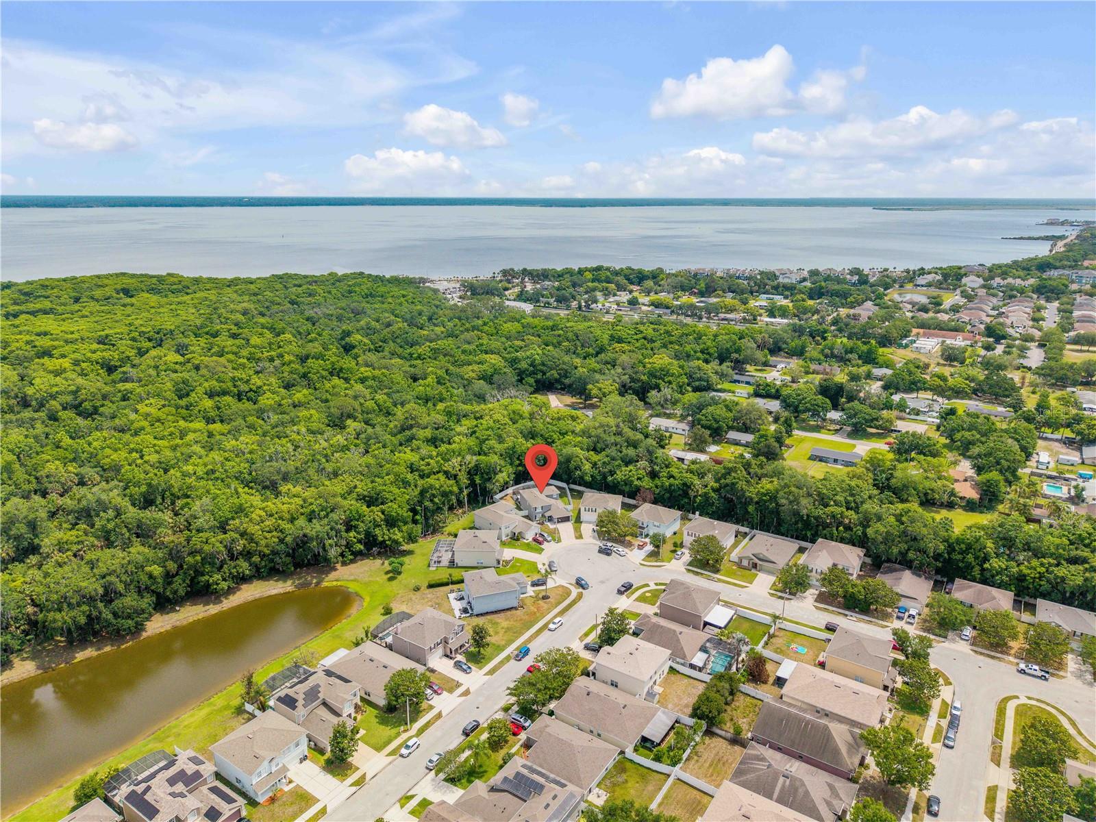 Property View 51