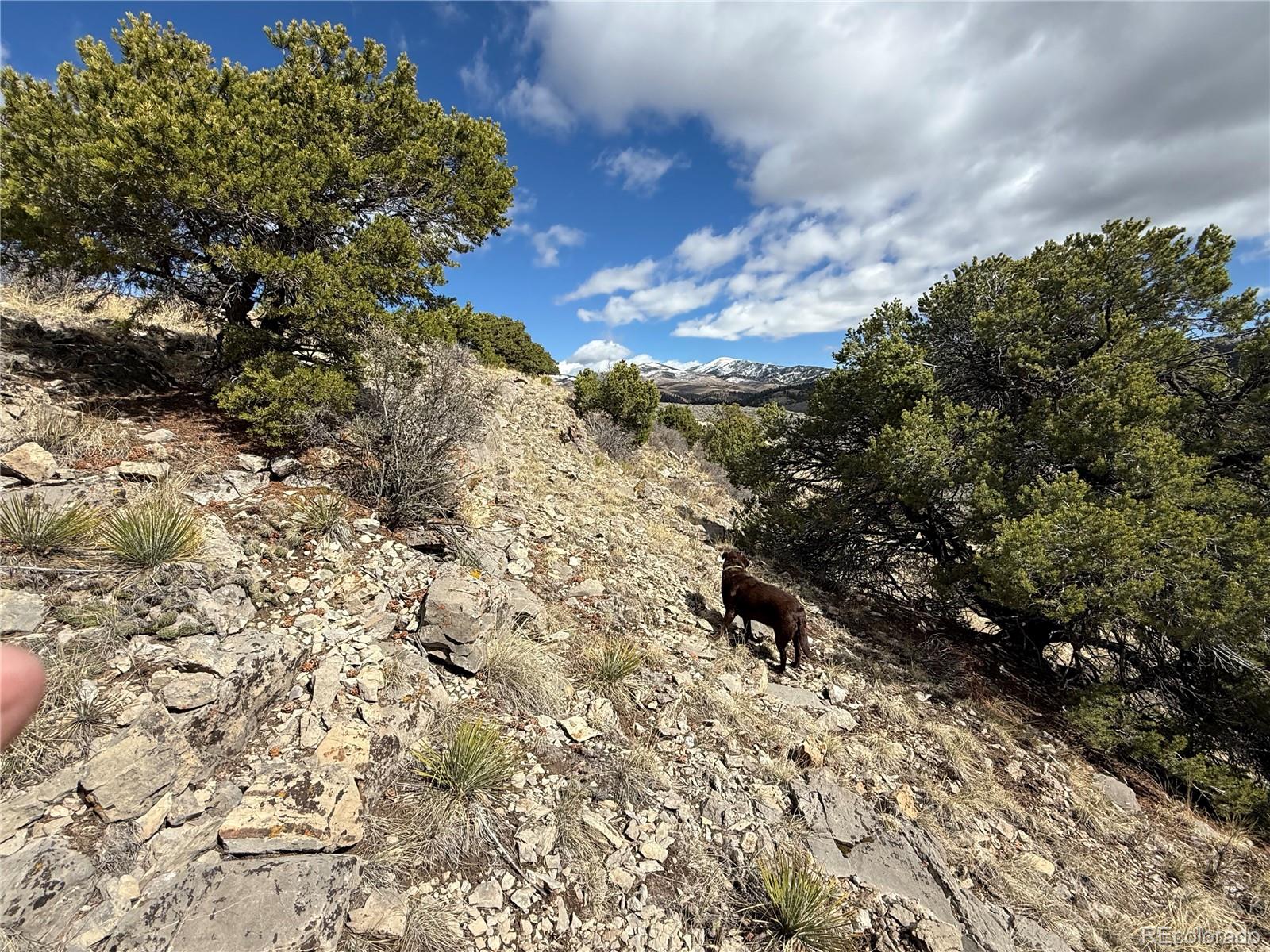 Lot 117 Lautenburg Drive