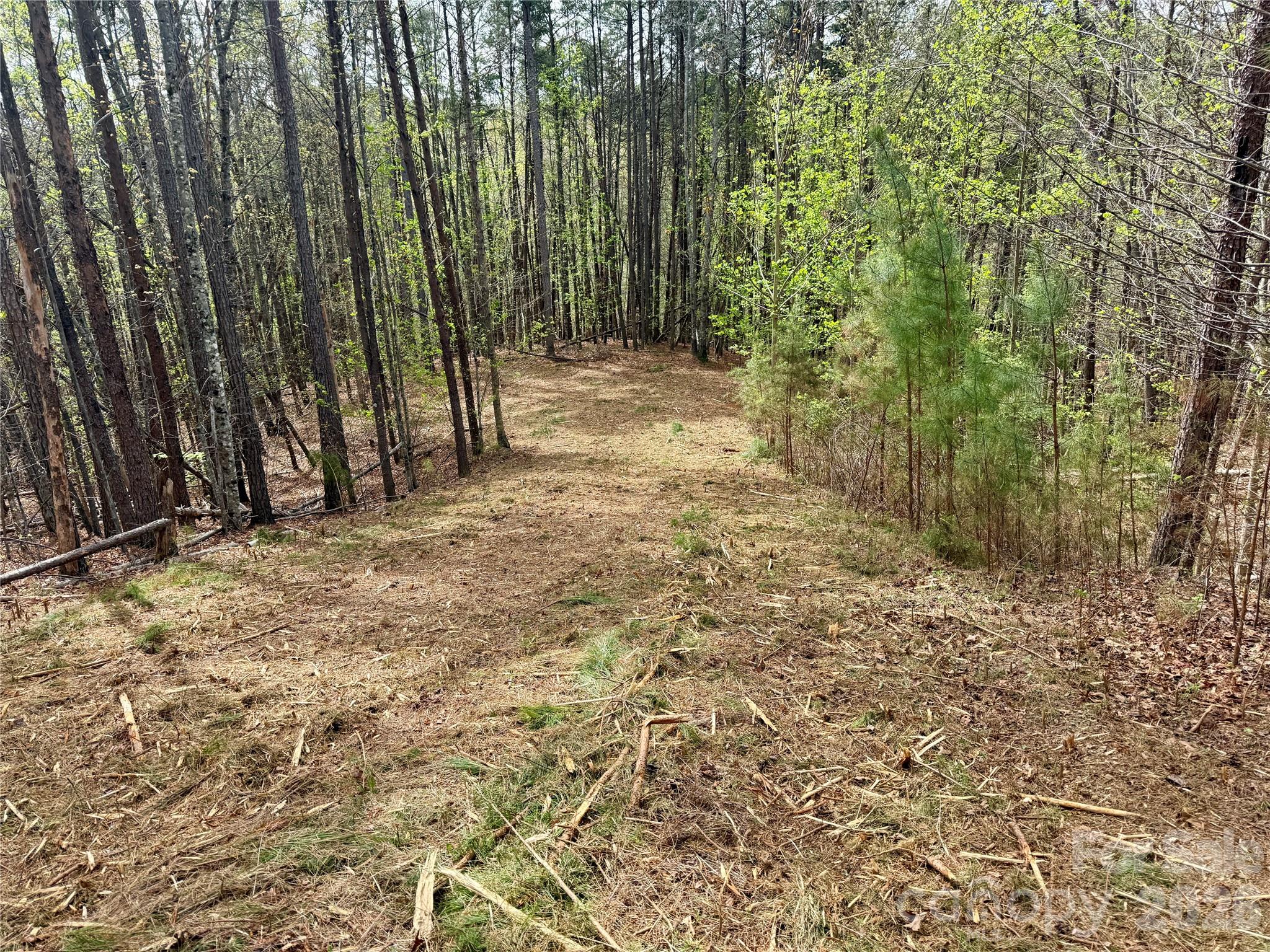 Lot 488 Bella Vista Way 488
