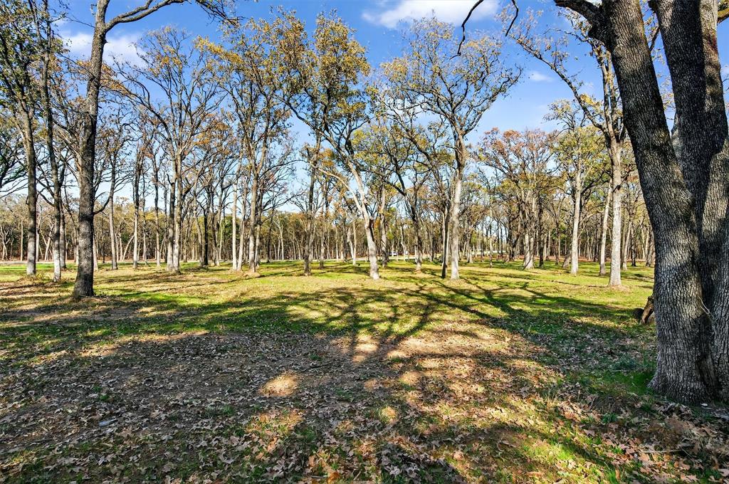 Lot 15 Buck Trail