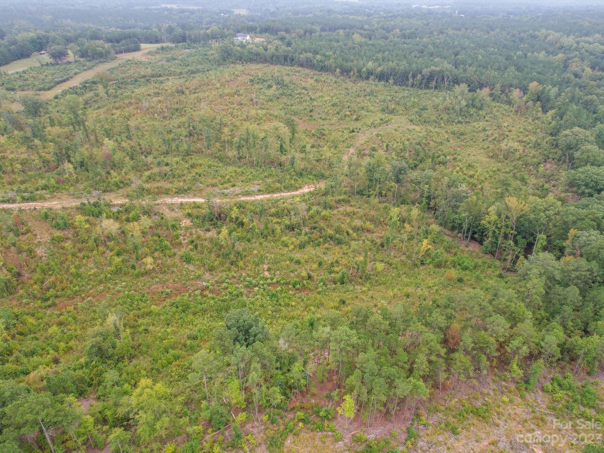 SR 1646 Morgan Sellers Road