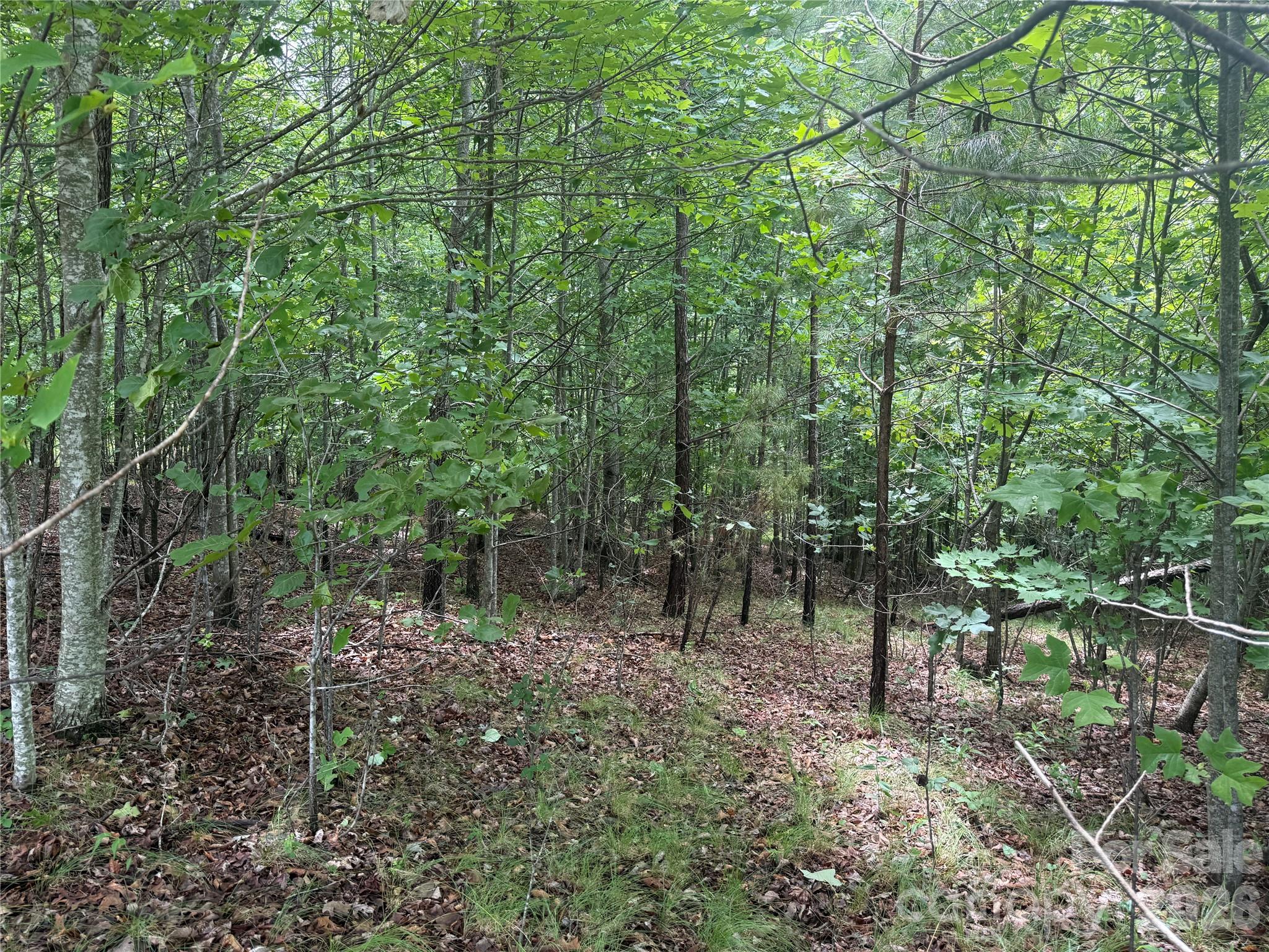 V/L Scenic Vista Drive 246