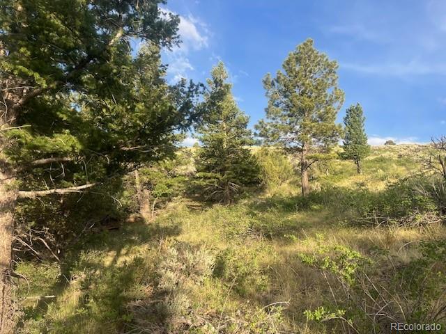 Lot 4630 Spring Road