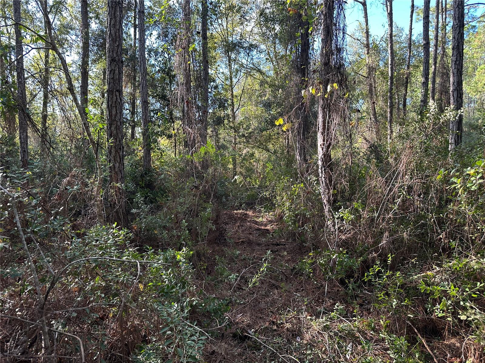 111 Camp Road