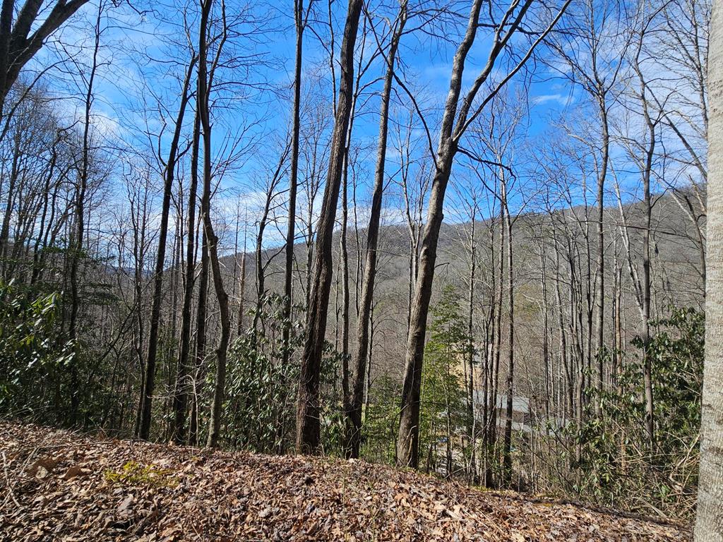 Imagine waking up every day to mountain views that stretch as far as the eye can see, where nature becomes your backyard and adventure is just a step away. This property offers a long, enchanting ridge perfect for leisurely walks, morning hikes, or simply soaking in the beauty of the changing seasons. Picture yourself sipping coffee on your future porch, the crisp mountain air filling your lungs as you watch the sunrise paint the sky in vibrant hues. This is more than just a piece of land; it's an invitation to create your dream retreat! Whether you envision a cozy cabin or a luxurious getaway, this slice of paradise is waiting for you to bring your vision to life. Don't miss out on the chance to claim your own piece of heaven and let the magic of these mountains inspire your next adventure!