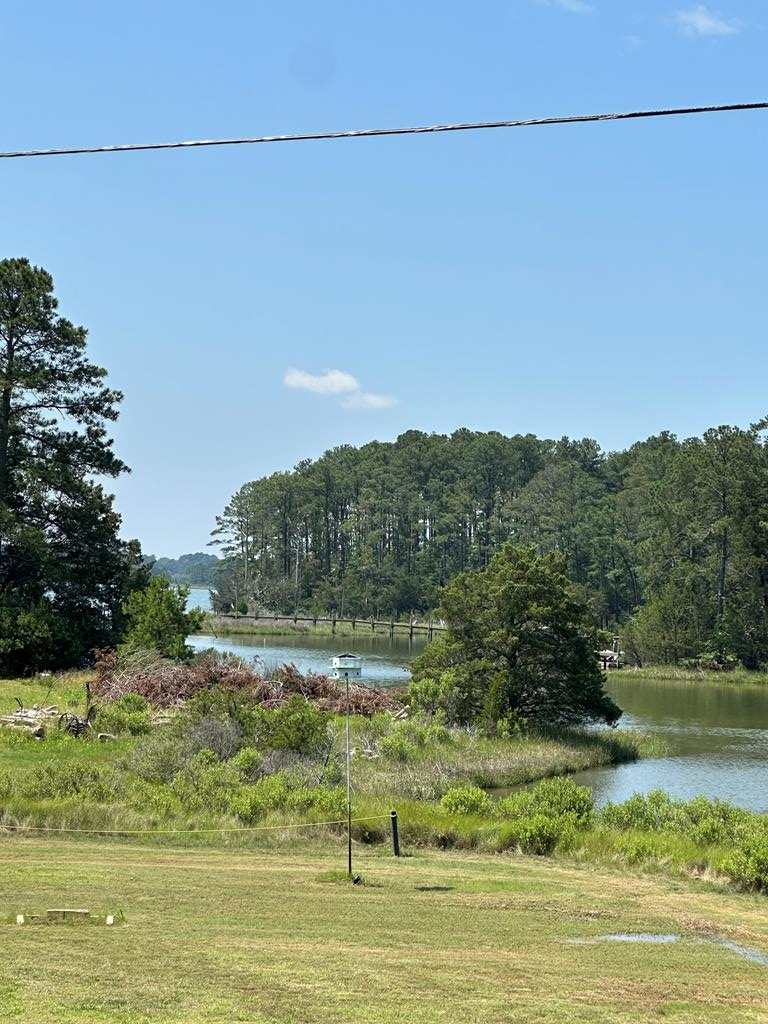 Experience Waterfront Tranquility on Nandua Creek with this charming 3bedroom 2 bathroom vacation rental home. Downstairs is an open concept living and kitchen area leading into a screen porch with an outside shower. One bath down, two bedrooms and a bathroom upstairs. Well appointed bedrooms upstairs offer wonderful creek views. Captains Quarters has a wonderful balcony space to sit and enjoy the night sky and creek breezes. This property is perfect for crabbing, kayaking or launching your boat. The property includes a spacious yard, mature landscaping and plenty of room for outdoor living including an outdoor kitchen area. High speed internet is available here. Whether you are looking for a year round or vacation home this gem offers the peace and privacy you have been looking for.