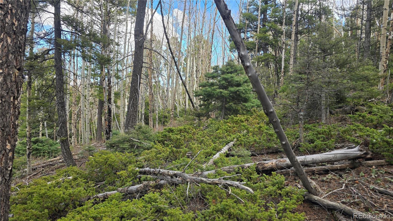 Lot 5261 Scott Road