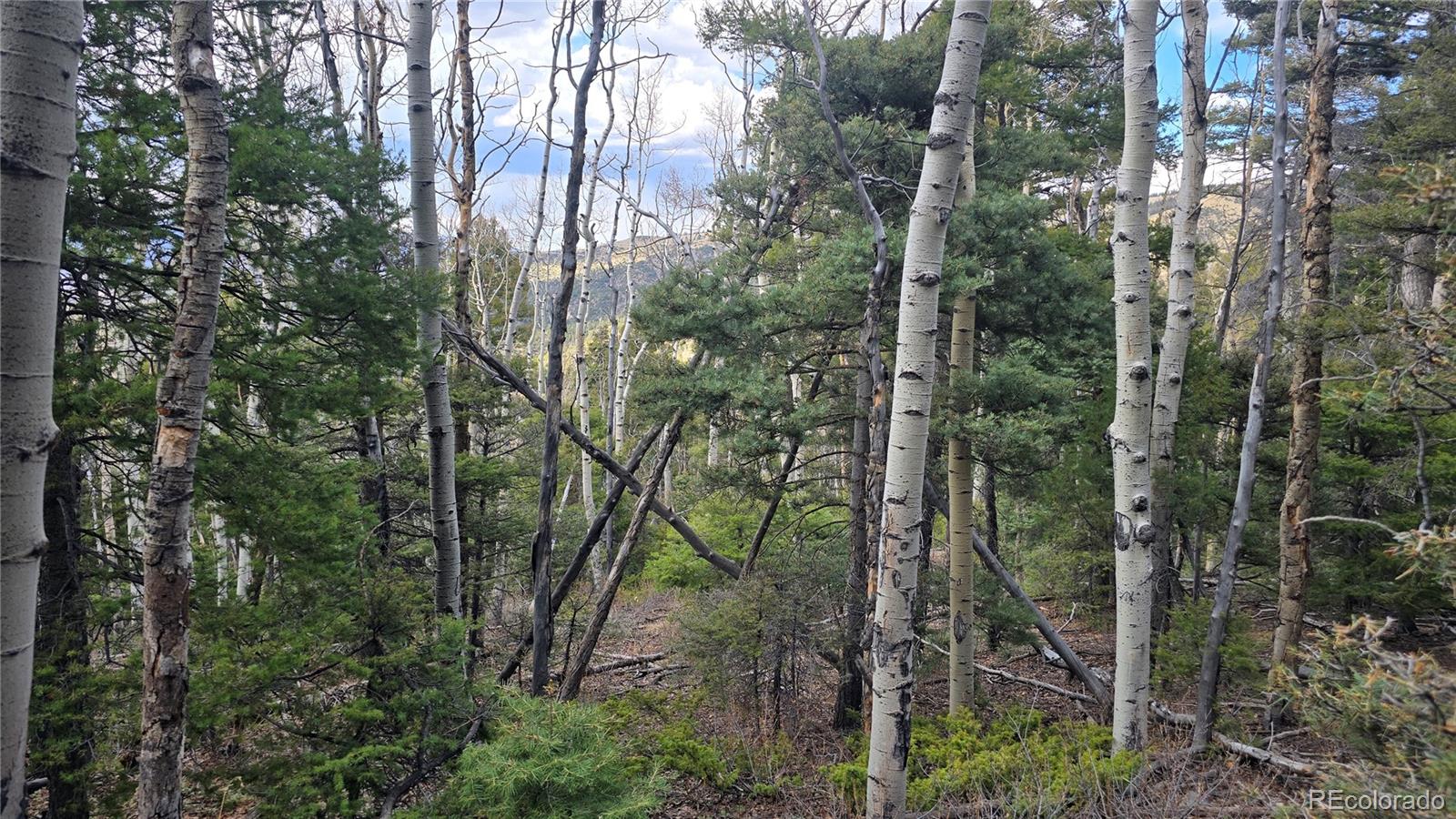 Lot 5261 Scott Road