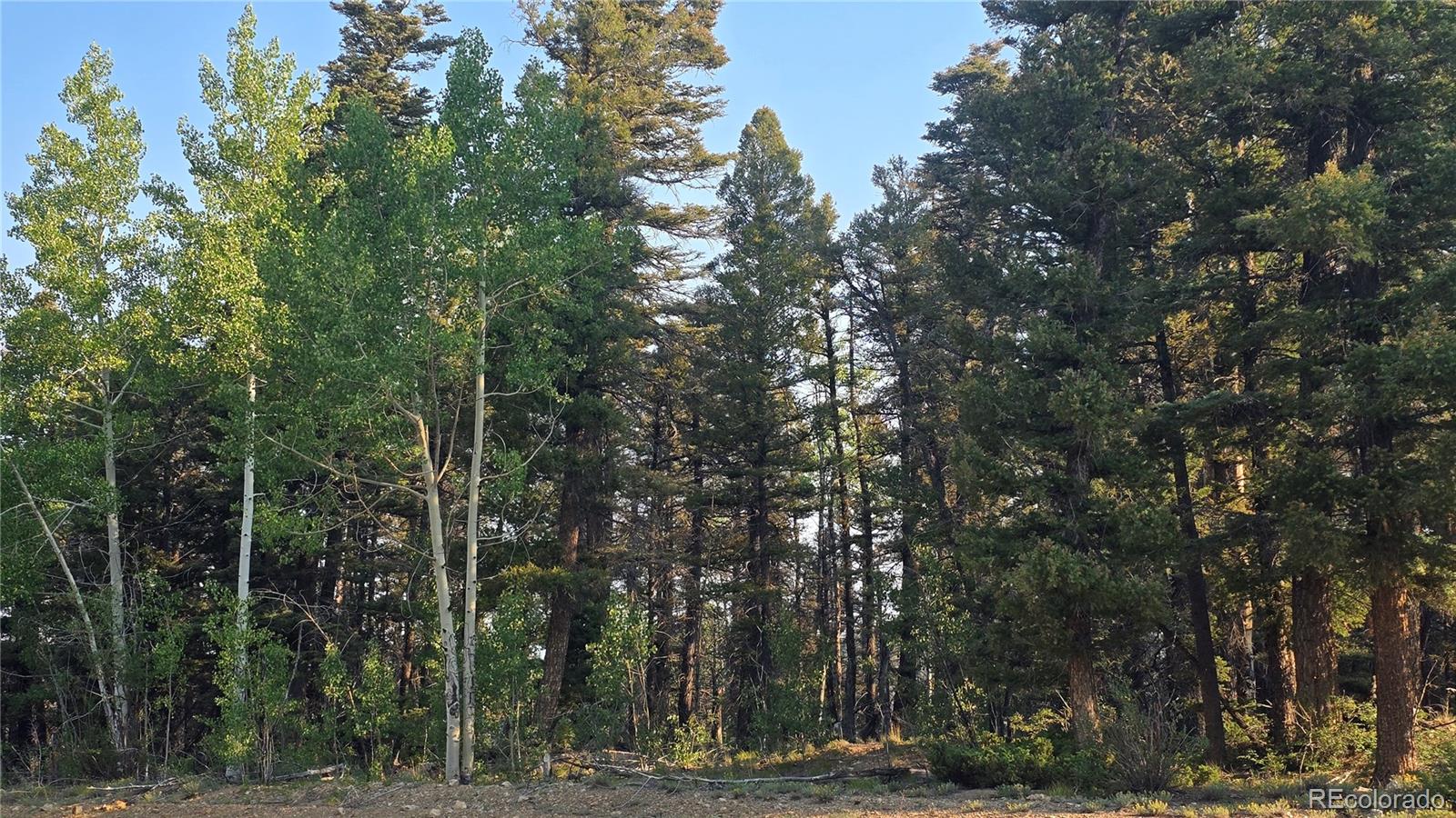 Lot 5768 Clawson Road