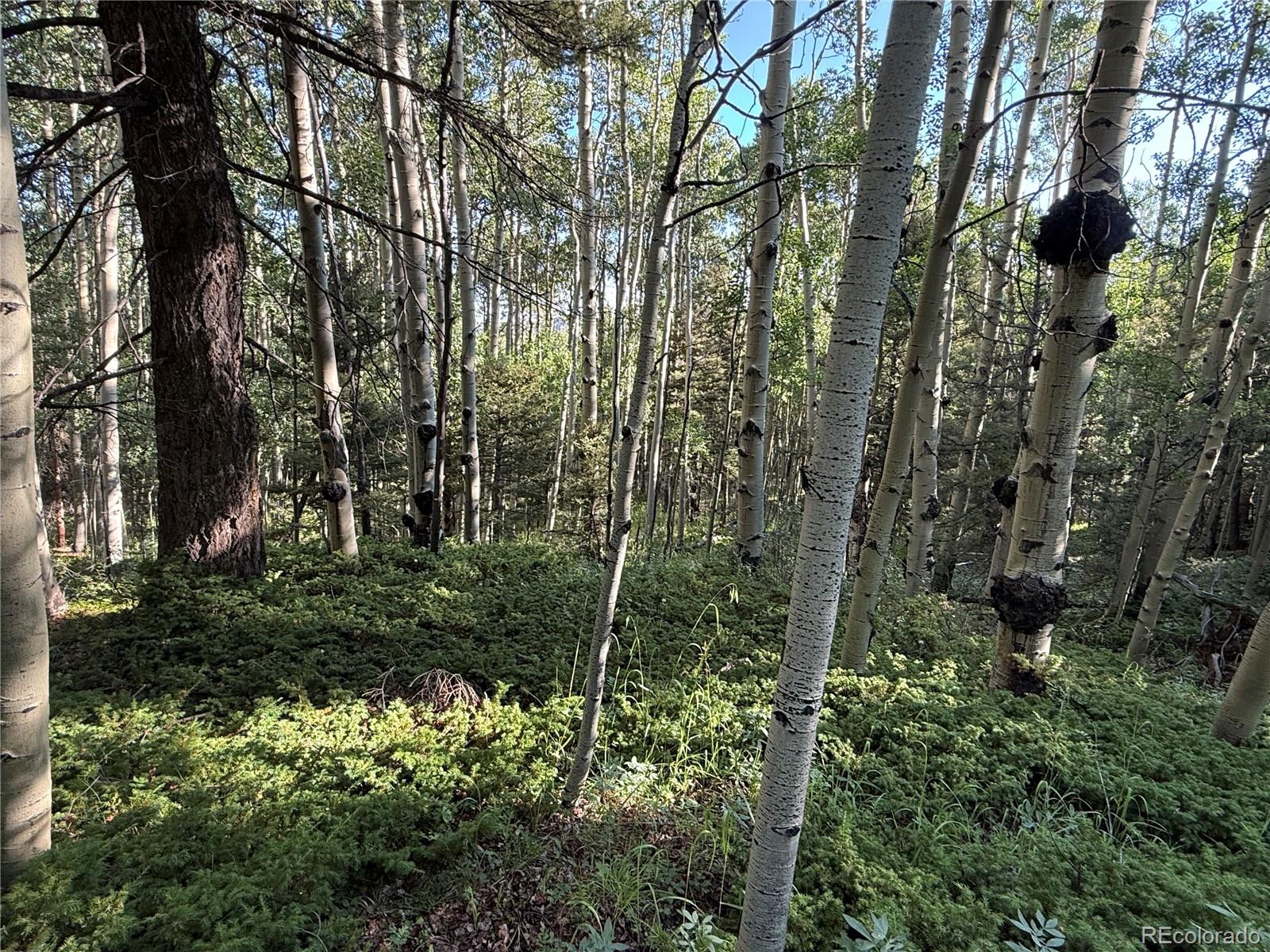 Lot 5331 Hull Road