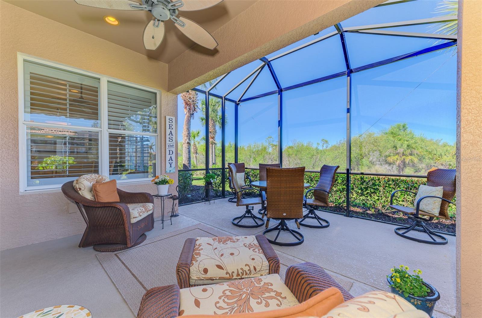 2625 Wax Myrtle