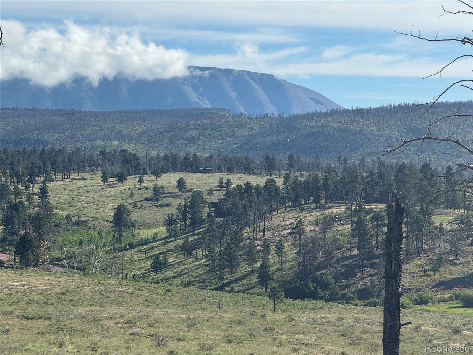 Lot 775 Forbes Park Road