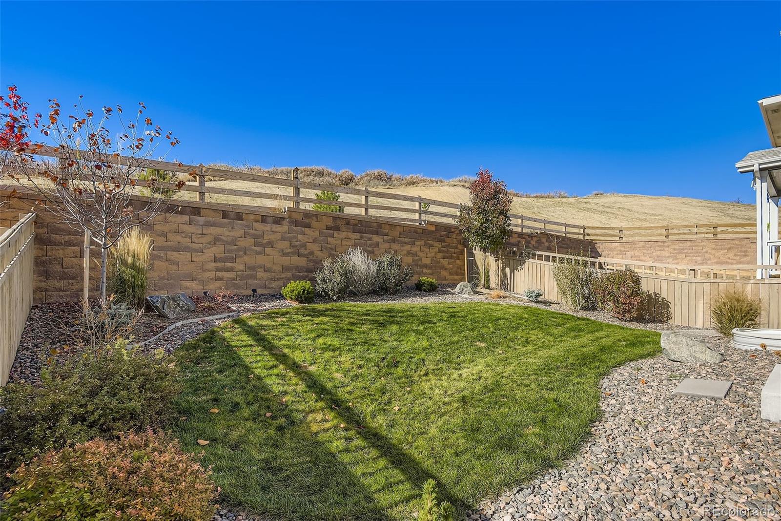 1033 Oleander Street