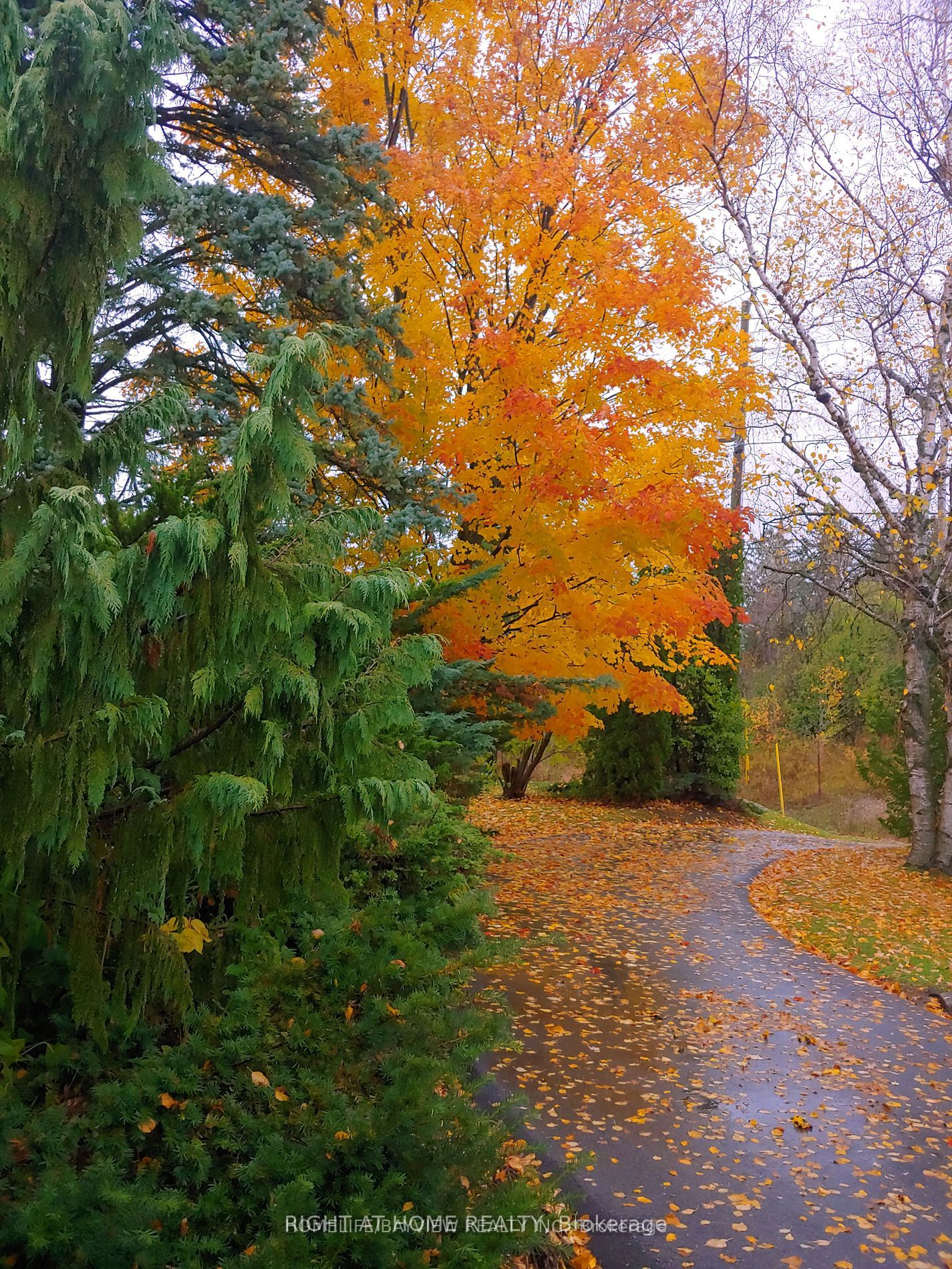 28 Bayview Park Lane