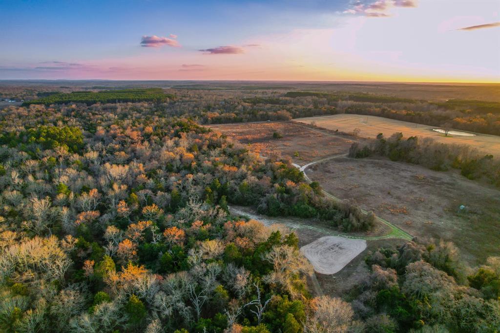 For the buyer looking for a great East Texas homesite, this property has several! There is the potential to build closer to the county road and leave the bulk of the acreage for recreation and hunting, OR there are several beautiful building sites within the open area. The open field is hidden from the road with multiple potential build-sites that would provide expansive views of the property where the wildlife frequent the feeders and browse the field. There is also potentially a small lakesite in the open field to further the use and enjoyment of the property.

This is a fantastic recreation property in a great area of East Texas! The current owner has done tremendous work making this property perfectly suited for hunting and recreation. There is a great trail system with multiple hunting locations and access to and from depending on wind directions. Several mature whitetail bucks have called this property home over the years, and it is a credit to the management practices in place. This is a great property with room to make it your own, so call today to set up your own private showing!