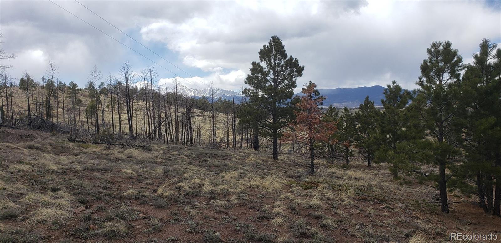 Lot 179 Duffy Lane