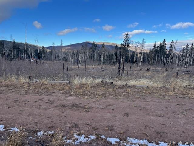 Lot 2544 Petito Drive