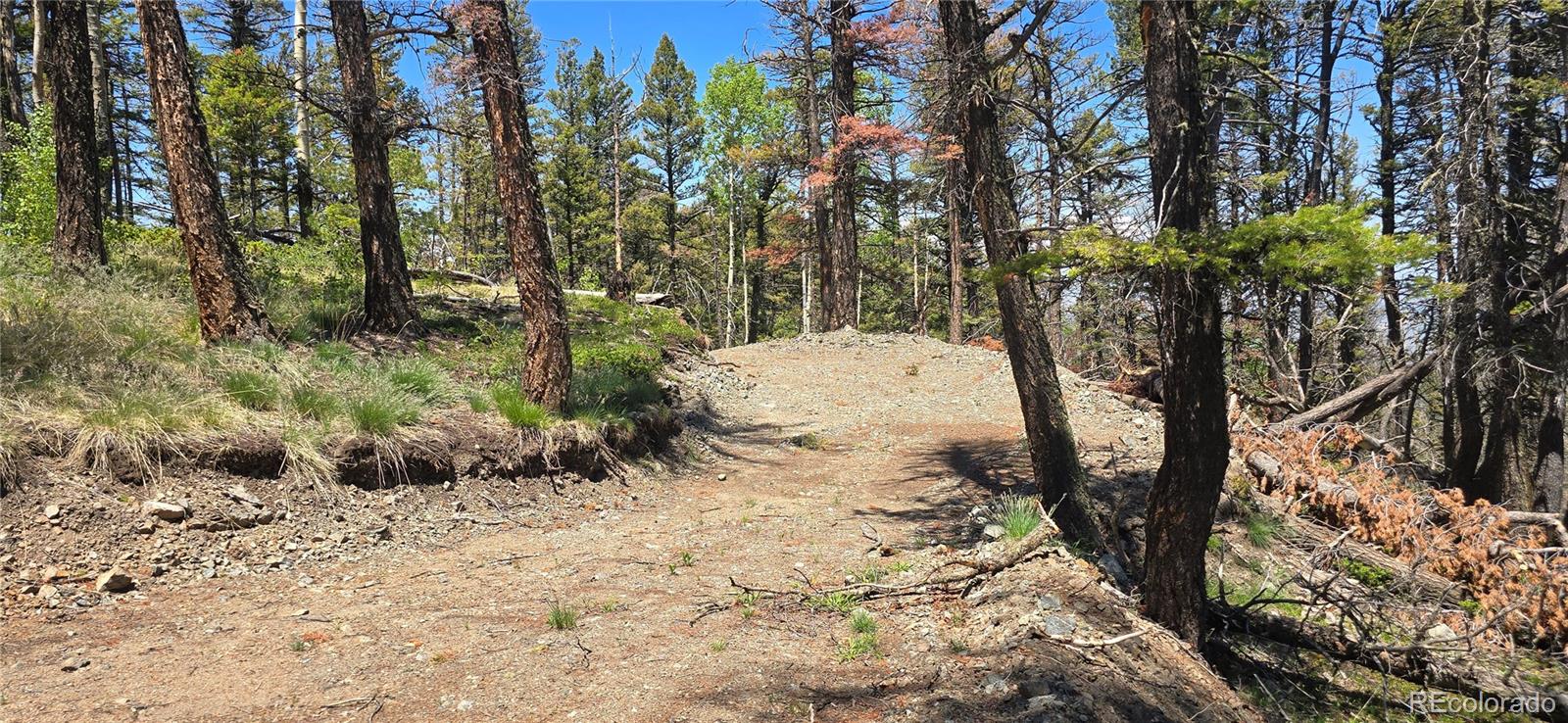 Lot 5546 Balleroy Road