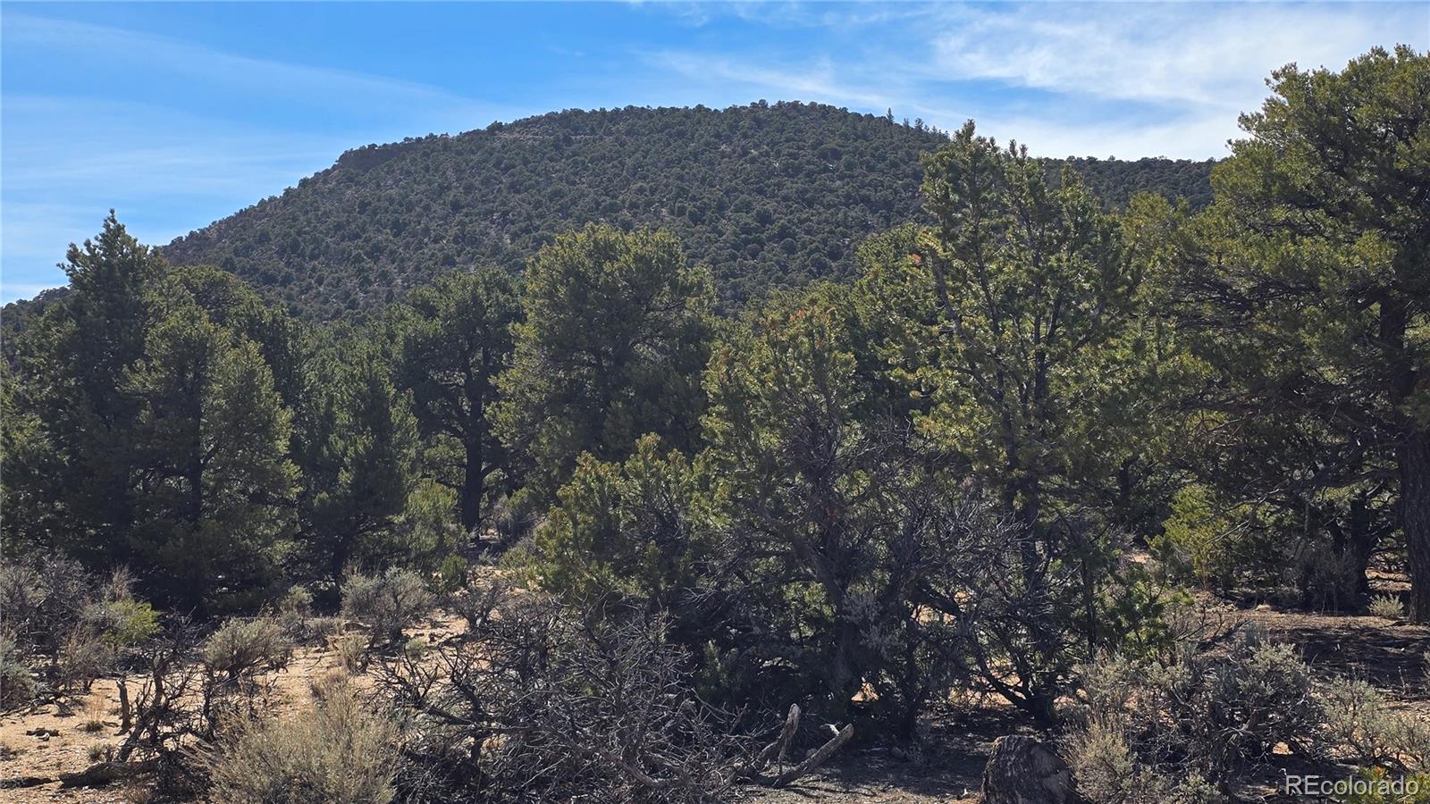 Lot 409 Williams Road
