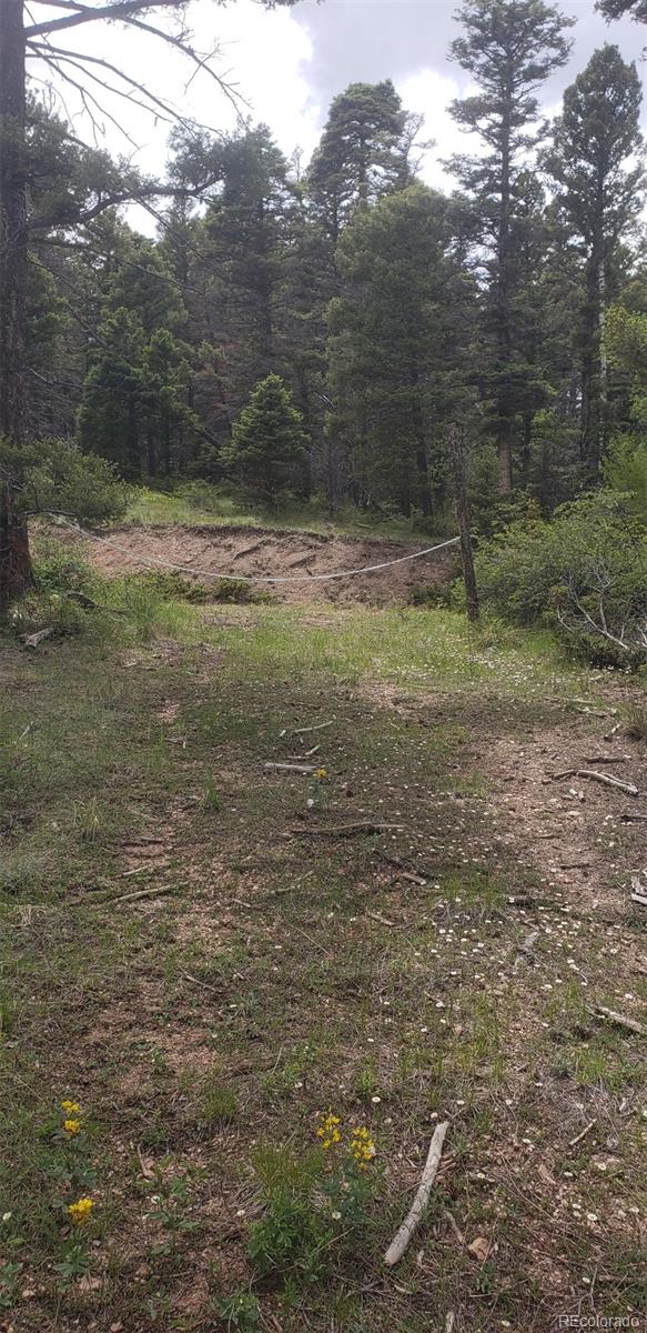 Lot 6388 Jaquez Road
