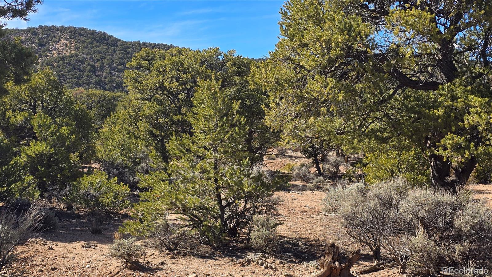 Lot 409 Williams Road