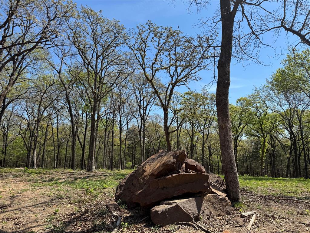 Lot 13 Buck Trail Road