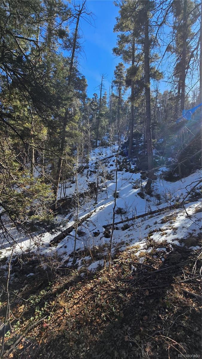 Lot 5540 Joy Road