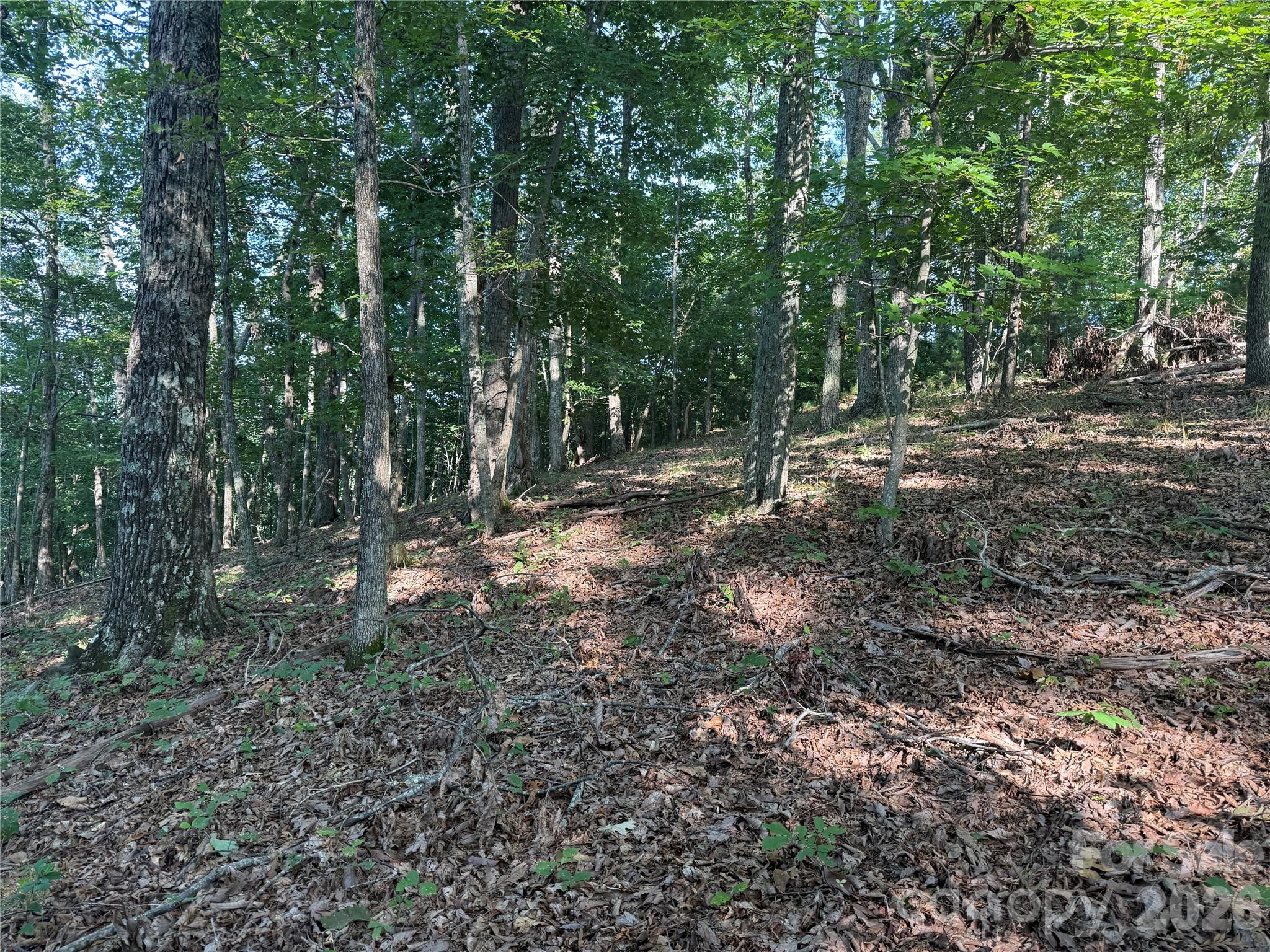 V/L Scenic Vista Drive 332/333