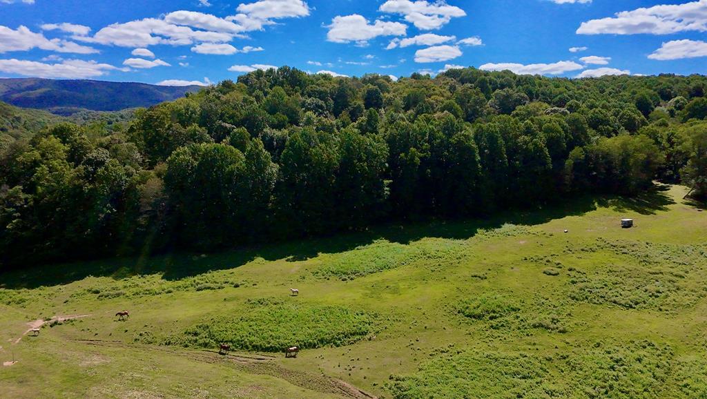 Located less than a mile from the iconic Appalachian Trail and Jefferson National Forest/Mt. Rogers National Recreation Area, this 39.49-acre tract near Marion is a perfect blend of cleared and wooded land, offering ample space for farming, hunting, or building. The property is known for its abundant wildlife, including a thriving deer population, making it an ideal spot for hunters. Whether you're looking to build your dream home, start a farm, or create a private retreat, this property offers endless possibilities for outdoor enjoyment and development.  Currently, approximately 7 acres is currently used for horse pasture, with the remainder being undeveloped forest.  The headwaters of the Middle Fork of the Holston River flow through property for approximately 70'.  Situated in the Atkins/Groseclose area, this property is convenient to I-81, and is only 10 miles from Marion or Rural Retreat.  New survey on file.  See map in docs for Appalachian Trail location relative to property.  Borders I-81.