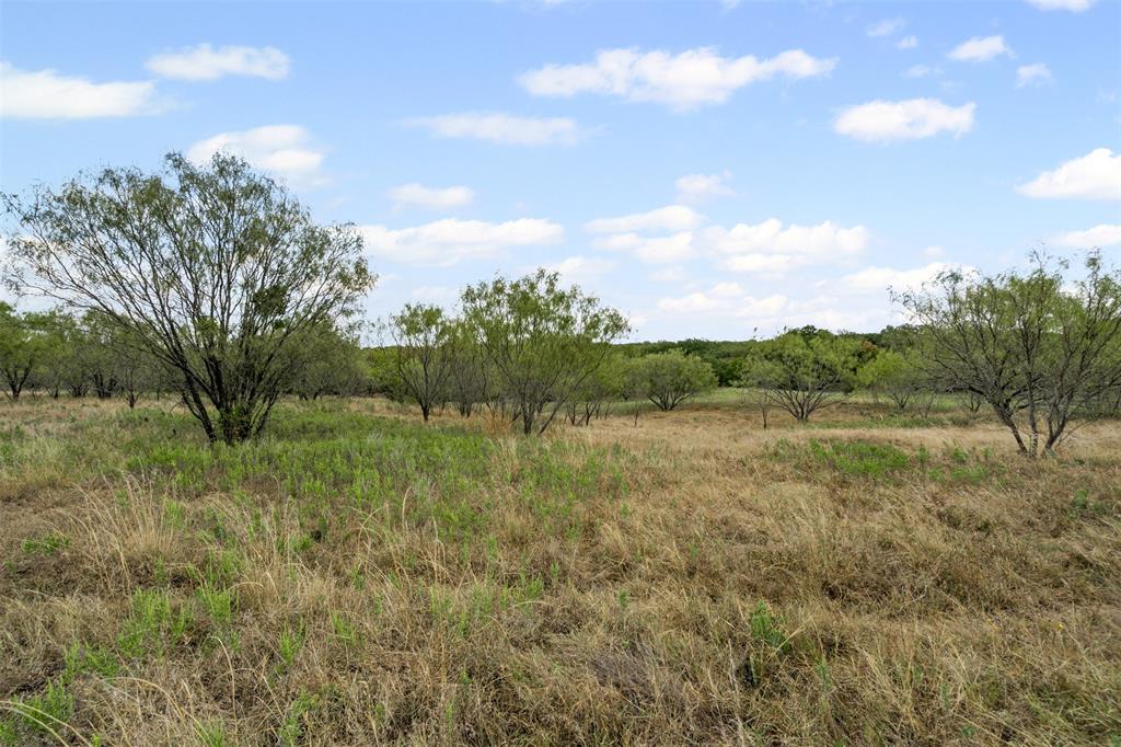 451 County Road 4975